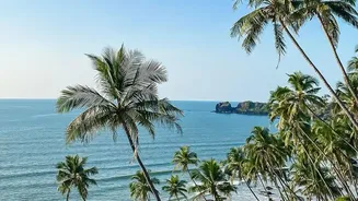 Varkala Budget Wellness Hostels: Why Solo Female Travellers Love Cliffside Stays