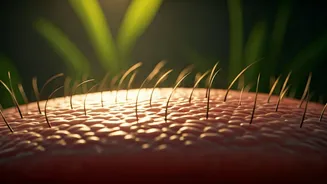 Scalp Health Is Having A Major Moment