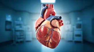 What Can Trigger A Heart Attack?