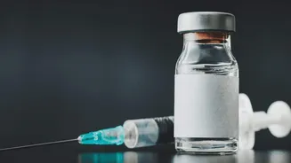 Related Stories banner