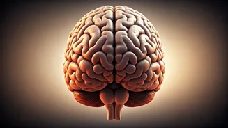 Success: Sharpen Your Mind With These 5 Tips