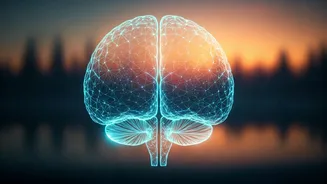 Nurturing Your Mind: Essential Strategies for Robust Mental Well-being