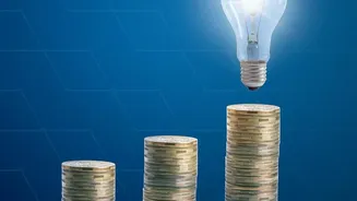 Why Reading The DRHP Matters Before Buying A Startup IPO