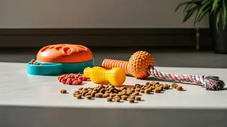 Indoor Boredom Needs Toys, Treats And Training