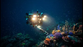 Deep-Ocean Science's New Tools Is A Useful Case Study In Better Coverage With Difficult Logistics