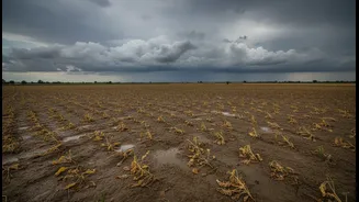 Monsoon Risk Makes Food Prices Worth Watching
