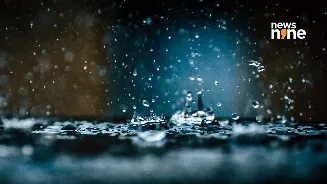 Delhi Jal Board plans 500 rainwater harvesting units before monsoon