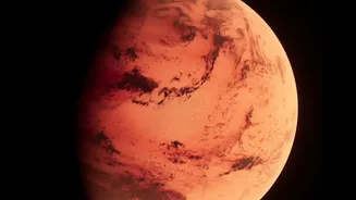 Growing Food In Space Is Possible In Some Settings—But Mars Is Different
