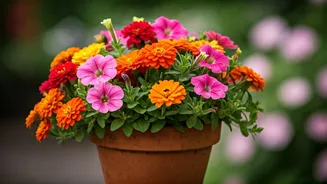 Annual Flowers Make Small Gardens Feel Celebratory