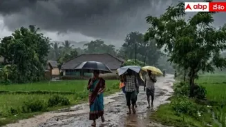 Rains In AP and Telangana: రుతుపవనాలపై ఎల్నినో ఎఫెక్ట్.. ఏపీ, తెలంగాణలో నేడు ఈ జిల్లాల్లో వర్షాలు: ఐఎండీ