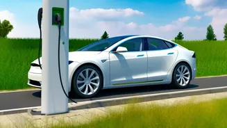 How Sodium Ion Batteries Offer Low Cost Alternatives To Lithium In Indian EVs