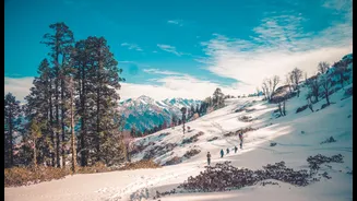 Warm and Sunny Weather Forecast for Nadaun, Himachal Pradesh