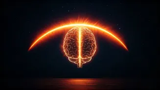 Solar Storm Health Fears Finally Get A Reality Check