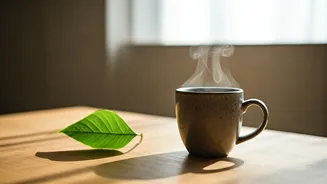 Boost Your All-Day Energy: The Simple Morning Habit Change That Works Wonders