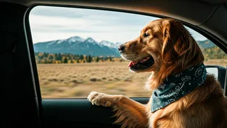 Furry Bosses Are Running Travel Decisions Now