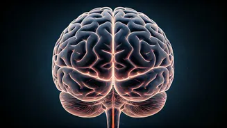 5 Brain-Boosting Habits to Stay Sharp After 40