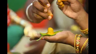 Study Finds Lead in Turmeric Originates During Processing, Not Farming