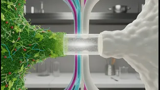 Why Dietary Calcium Limits Non-Heme Iron Uptake By Up To Sixty Percent In Mixed Plates