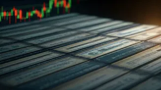 JioBlackRock's Flexi Cap Fund: Portfolio Unveiled