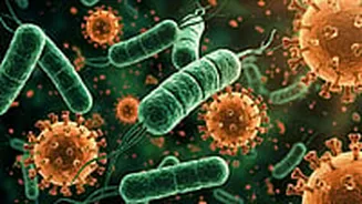 The Winter Vomiting Bug: What Is Norovirus &Why It Spreads So Fast: Know Symptoms & Prevention