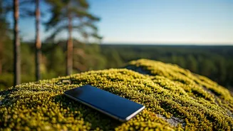 Digital Detox Can Transform Your Weekends