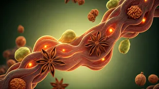 Gut Health Is Going Back To Indian Basics