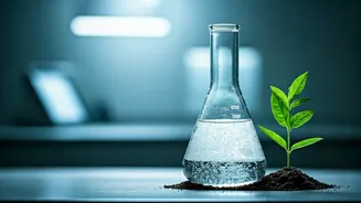 Self-medication is not true wellness