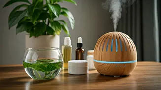 Monsoon Wellness Guide Everyone Should Read