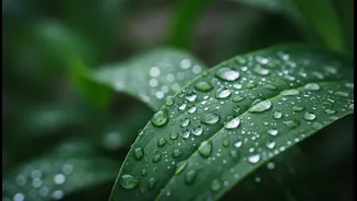 ಮಳೆಗಾಲದಲ್ಲಿ ಸೋಂಕು ತಪ್ಪಿಸುವ ಟಿಪ್ಸ್