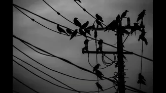 Bengaluru To Face Daytime Power Cut On December 25: Area-Wise Details