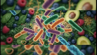 Microbial Response Is a Clue, Not a Complete Nutrition Recommendation