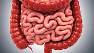 Unlock Gut Health: Simple Dietary Shifts