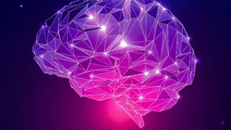 AI And Indian Tech Careers: Which Roles Could Be Most Affected By Automation?
