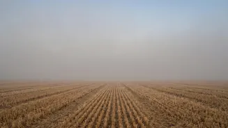 Delhi-NCR's October Air Is Changing As Rain And Winds Decline