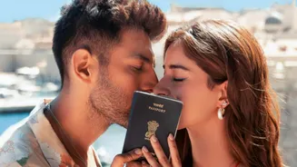 Kartik-Ananya's 'Tu Meri Main Tera...' struggles; has earned only ₹2cr