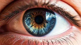 Related Stories banner