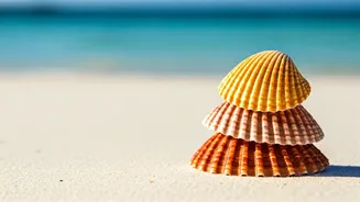 Chennai’s Next Holiday Could Be Cheap And Abroad