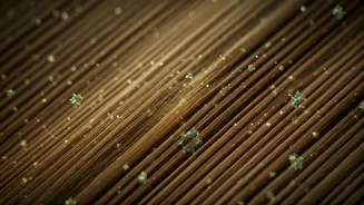 Anti-Microbial Bamboo Activewear Rules the Sustainable Fitness Movement Now