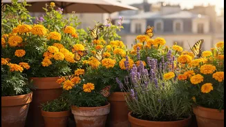Balcony Plants That Reward You With Visiting Butterflies