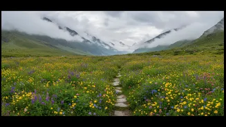 How to plan a moderate monsoon trek through Uttarakhand's Valley of Flowers peak bloom