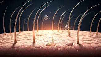 Dandruff Decoded: Unmasking Scalp Health & Effective Shampoo Secrets