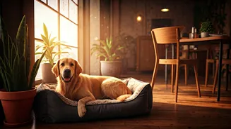 More Weekend Cafés Are Going Pet-Friendly