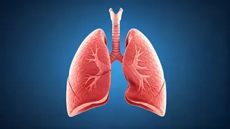 Eat These Foods to Keep Your Lungs Healthy