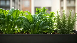 Spinach And Herbs Are Winning Apartment Balconies Now