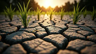 Monsoon Gaps Make Grocery Bills Worth Watching
