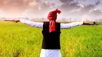 Punjab Crop Diversification: What Changes for Farmers and Policy Readers