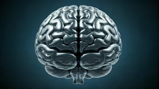 Brain Boosting: 5 Exercises to Sharpen Memory & Focus