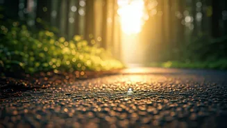 Why Everyone Is Doing The Mindful Run To Meditate Challenge