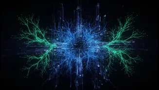 AI Users, Developers and Policy-Minded Professionals Should Separate AI Interpretability from Shared Internal Representations