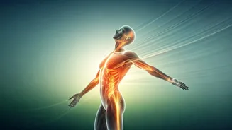 Unlock Your Body's Potential: Reversing Pain with Conscious Movement